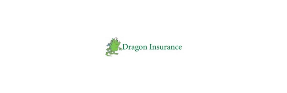 Dragon Insurance Cover Image