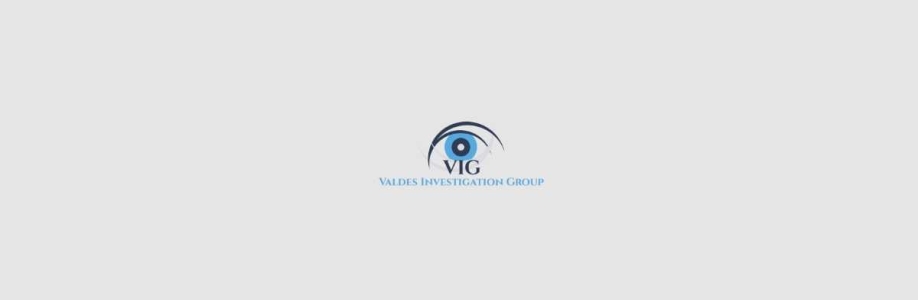 Valdes Investigation Group Cover Image