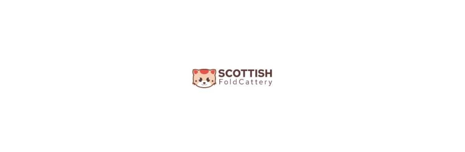 Scottish Fold Cattery Cover Image