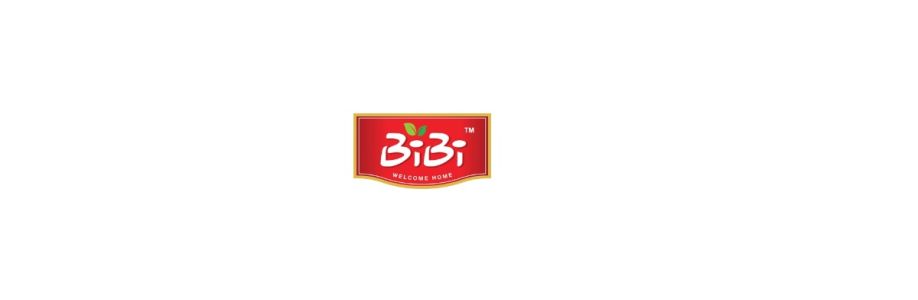 Bibi United Group Inc Cover Image