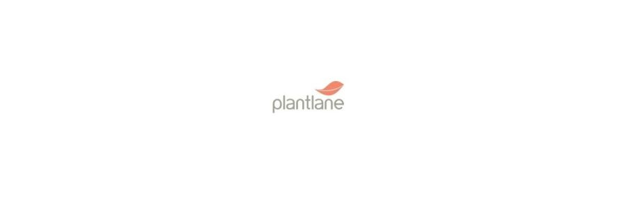 Plantlane Limited Cover Image