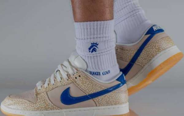 MTL Bagel Dunk Low: Nike Sesame Edition