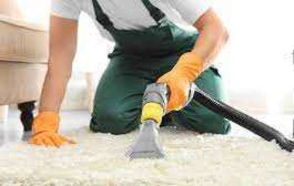 Professional Carpet Cleaning: The Key to Odor-Free Carpets