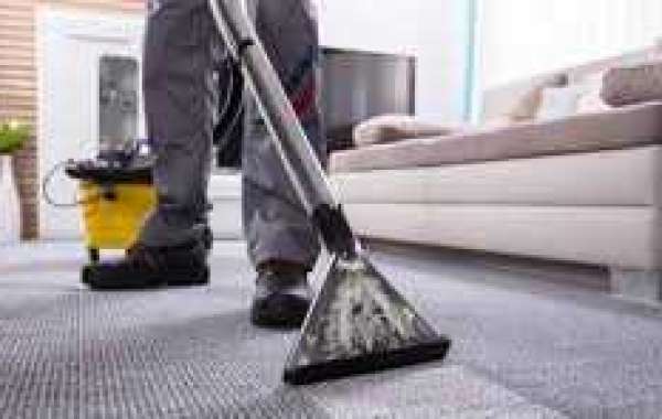 The Essential Role of Professional Carpet Cleaning in Home Hygiene